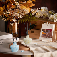 Diffuseur de parfum d'ambiance Relaxlines 50ml 100ml 150ml 250ml de luxe sans flamme à bâtonnets, huile essentielle d'aromathérapie
