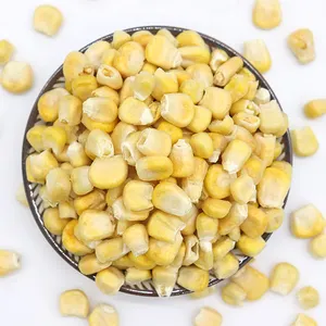 Hot selling organic bulk freeze dried corn health food for snacks