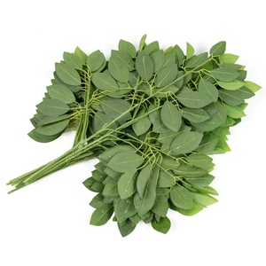Vendita calda pianta di plastica foglia di <span class=keywords><strong>arancio</strong></span> artificiale ramo di albero per fai da te decorazione della <span class=keywords><strong>casa</strong></span> - Product Image 6