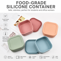 Boîte à bento en silicone de qualité alimentaire personnalisée en gros, boîte à lunch réutilisable pour tout-petits, adultes, enfants, bébés, boîte à bento en silicone avec couvercle