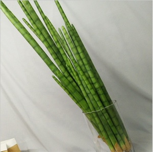 E-3120 Fabbrica di <span class=keywords><strong>grandi</strong></span> vasi di piante per la Vendita di piante all'aperto artificiale serpente erba <span class=keywords><strong>bonsai</strong></span> per la casa - Product Image 4