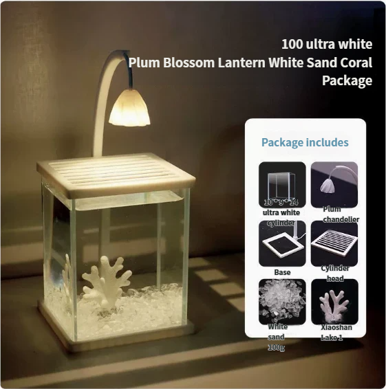 Pacchetto 100 Lanterne Fiore di Pruno Sabbia Bianca Corallo