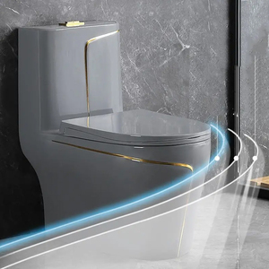 WC en céramique moderne de luxe, une seule pièce, en porcelaine, couleur or noir, cuvette de toilette en céramique - Product Image 4
