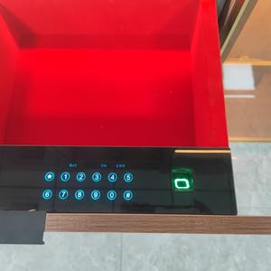 Cassaforte a Muro Nascosta per Armadio RMS con <span class=keywords><strong>Serratura</strong></span> a Impronta Digitale per Gioielli - Product Image 4