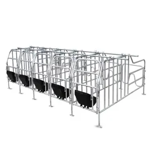 New design pigs Gestation crate for sows gestation stalls animal cages