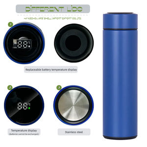 Gobelet d'usine 500ML Termos De Agua Gym Bouteille D'eau Vaso Termico <span class=keywords><strong>Inox</strong></span> Vasos De Acero Inoxidable Bouteille D'eau En Acier Inoxydable - Product Image 2