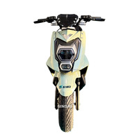 Motos tout-terrain de longue durée scooter électrique étanche 1000w moto électrique pour adultes