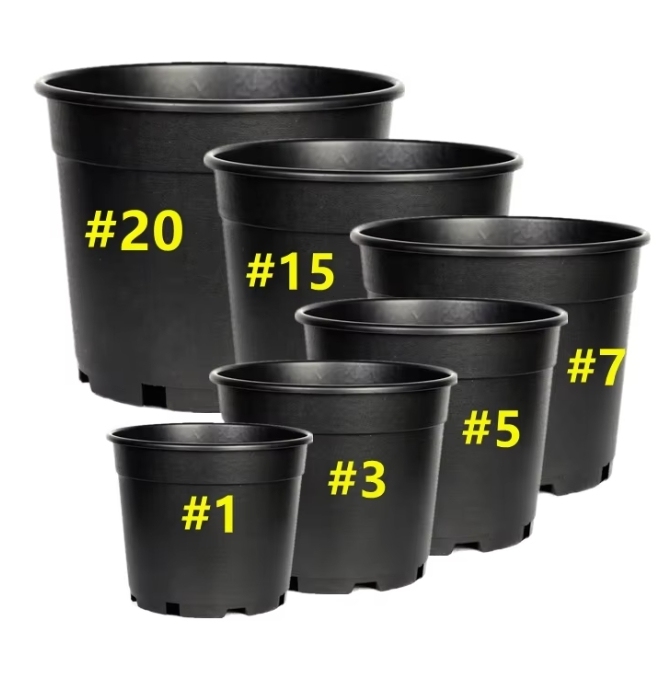 Wholesale Cheap 1-25 Gallon Black Plastic Pots for Nursery