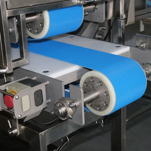 <span class=keywords><strong>Machine</strong></span> de découpe rapide et uniforme en acier inoxydable 304 pour viande fraîche, viande marinée, poulet, bœuf, porc, poisson et viande séchée - Product Image 4