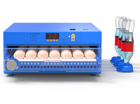Entièrement automatique électrique 12v Dc 110v 220v AC Power 36 192 256 320 Canard Oie Poulet Machine à couver Oeufs Incubateur