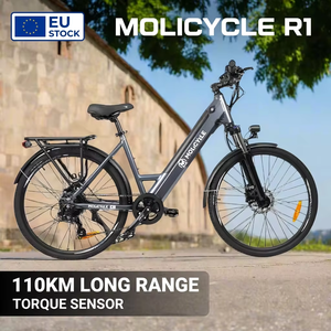 Molicycle R1 Gris 250W Électrique Urbain 20 Pouces Vélo Pliant 36V 15.6Ah avec Panier City Commuter EU Stock Ebike - Product Image 6