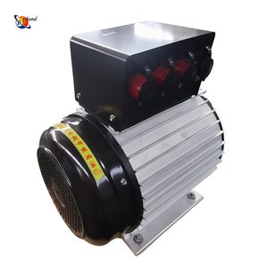 Pmg 30rpm 10kw 100kw 500kw генератор постоянного магнита - Product Image 2