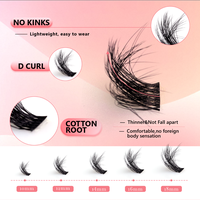 Cluster Individuel Cluster Eye Lashes Greffage Faux Mink Eye Lashes Clusters Fluffy Logo personnalisé Vente en gros Private Label Lash Diy