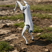 Robot chien quadrupède à haute capacité de charge, articulations flexibles, pour opérations de relevé et de sauvetage sur terrains complexes