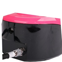 Mini pompe à air rechargeable BT-19, kit d'aérographe cosmétique à alimentation par gravité, compresseur d'air en cuivre pour la décoration de gâteaux
