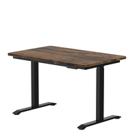 Bureau motorisé à hauteur réglable Table élévatrice électrique Table élévatrice à double moteur Table de peinture à angle réglable