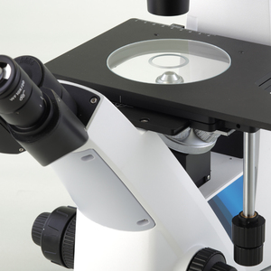Microscope biologique inversé à objectif <span class=keywords><strong>de</strong></span> plan <span class=keywords><strong>de</strong></span> longue distance <span class=keywords><strong>de</strong></span> travail BS-2009 Infinity <span class=keywords><strong>de</strong></span> BestScope pour le laboratoire et l'<span class=keywords><strong>université</strong></span> - Product Image 4