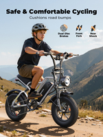 VARUN Vélo Électrique 250W Standard EU 25km/h Double Suspension Pneu 16" pour Enfants Adolescents Adultes Sentiers de Montagne