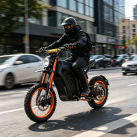 Moto tout-terrain électrique haute vitesse 60V avec logo et couleur personnalisés pour les équipes de course professionnelles et les agences d'aventure en plein air