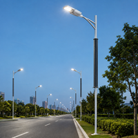 LECUSO 60W-200W Lampe solaire LED pour rue, panneau solaire monocristallin, étanche IP65, batterie LiFePO4, noir, vertical