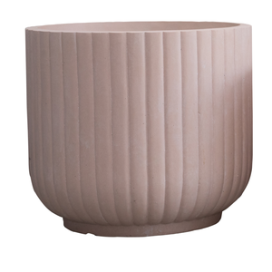 โทนสีพาสเทลที่ปลูกต้นไม้อย่างอวบน้ำและเขียวขจีสำหรับการตกแต่งโรงแรมและบูติกที่บ้าน - Product Image 1