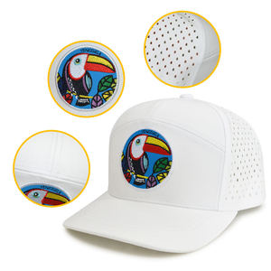 Gorra de Camping de Poliéster Impermeable Estructurada de Alta Calidad al por Mayor, Bordado 3D Unisex - Product Image 4