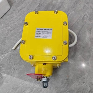 Interruptor de Desgarro Longitudinal BXGZL-II 24-380V AC/DC 5A con Reinicio Manual, Dispositivo de Protección para Transportadores - Product Image 3
