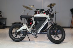 Customized Lithium Battery Magnesium Frame Rear <b>Hub</b> Motor Commuting 7-speed Ebike M1 7-speed Gearing Smooth - Product Image 2