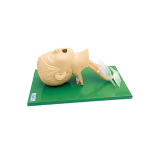 <span class=keywords><strong>แบบ</strong></span>จำลองการฝึกใส่ท่อช่วยหายใจสำหรับเด็กที่มีความเที่ยงตรงสูง PVC ขั้นสูงแบบจำลองการใส่ท่อช่วยหายใจสำหรับวิทยาศาสตร์การแพทย์ฉุกเฉิน - Product Image 4