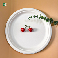 Assiettes jetables écologiques en bagasse de canne à sucre naturelle de 9 pouces, très vendues, pour mariages, fêtes et restaurants