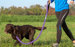 TUK TOOX Nylon <b>Dog</b> <b>Leash</b> 6FT Padded Reflective Handle Solid Purple for Medium <b>Dogs</b> - Product Image 3