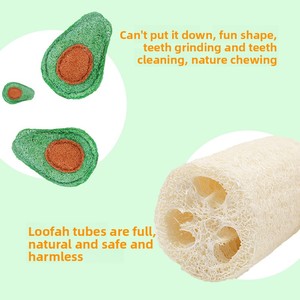 Jouets pour chats en loofah naturel, design cartoon et moderne, nettoyage buccal et friandises anti-stress en forme de fruits - Product Image 4