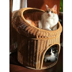Kunden spezifisches natürliches Rattan gewebtes niedliches Haustier-Hunde katzen bett mit Kissen für die ganze Saison - Product Image 3