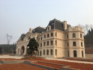 Revestimiento de Pared de Piedra Caliza Beige de Castillo Pulida y Sellada Personalizada para Exteriores para Villa - Product Image 2