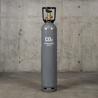 CO2 5N 99,999% de pureté élevée, dioxyde de carbone, cylindre de 40L, 47L, 50L pour laser, gaz de protection, soudage, O2, Ar, N2, He