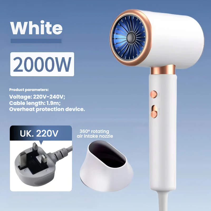 Royaume-Uni [220 V] blanc.2000W