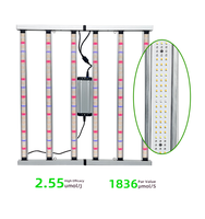 Lampu Tanam LED Spektrum Penuh ANDY Commercial Indoor 720W IP65 dengan Dukungan Fase Pembungaan untuk Chip LM301H/LM281B+LM301B