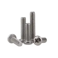 Din7985 GB818 Stainless Steel Micro Screws, Panhead Screw