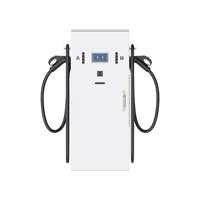 高安全性 120kW 直流快速充电站 IP54 双枪式 1000V EVSE 充电设备，具有多层网络安全加密功能，支持 OCPP