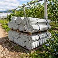 Agrarische glasvezel steunpaal, hoge sterkte, corrosiebestendig, aanpasbare vormen voor passievruchtplantages