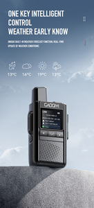 Radio Celular Global de Largo Alcance (5000 km) con Tarjeta SIM para Obras de Construcción y Hoteles - Product Image 2