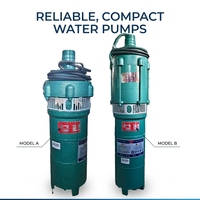 Pompe submersible haute pression QS-41 de petite taille, 3-18 CV, à haut refoulement, en fer, avec moteur à fil de cuivre pour l'irrigation agricole et l'alimentation en eau rurale