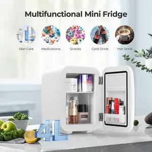 Yüksek kaliteli 5L özel toptan taşınabilir buzdolabı araba mini buzdolabı mini buzdolabı ev ve araba için