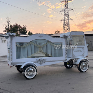 Oferta especial a precio de fábrica: Coche fúnebre eléctrico blanco de bajo consumo para transporte especial. - Product Image 5