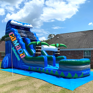 Toboggan aquatique gonflable commercial en PVC avec piscine et château gonflable, double piste, pour la maison et la <span class=keywords><strong>location</strong></span> intérieure/extérieure - Product Image 5
