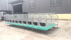 <span class=keywords><strong>Cages</strong></span> à porcs faciles à installer en gros, <span class=keywords><strong>cages</strong></span> pour animaux, caisses de gestation galvanisées à chaud - Product Image 2