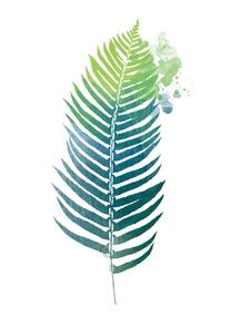 Cadre de <span class=keywords><strong>Collage</strong></span> en bois couleur noir, décoration murale, combinaison artistique, ensemble de liage, libre d'impression, toile à l'huile des plantes modernes, haute qualité - Product Image 2