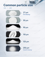 Poudre dentaire d'alumine blanche fusionnée, oxyde d'aluminium, pour abrasion pneumatique dentaire, fournie directement par l'usine