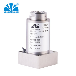 Yong Chuang YCLT71 Proportional Solenoid Valve 1/4 In Air DC24V Electric Control Valve - Product Image 2
