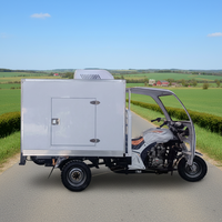 Tricycle frigorifique à moteur thermique avec compresseur Sanyo pour la livraison de produits congelés, économe en énergie